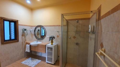 La salle de bains est pourvue d'une douche, d'un lavabo et d'un miroir. dans l'établissement Cottage on Herbert, à Ravenshoe