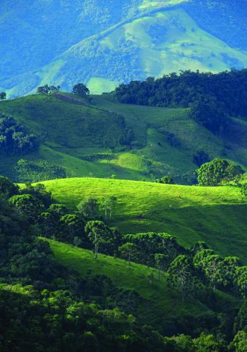 Landskap semula jadi dekat dengan asrama