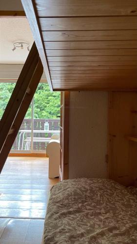 Cosy studio on the slopes and centre of Chamonix