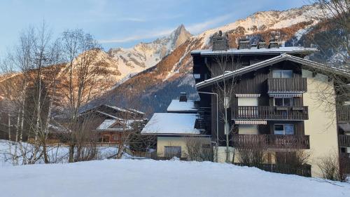 Cosy flat on the slopes and centre of Chamonix under vintern