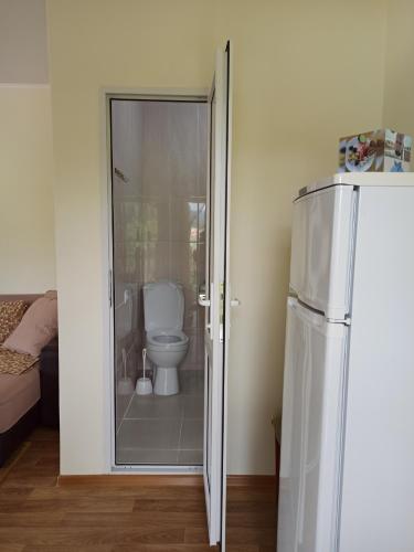 ロオにあるVolgar Guest Houseのバスルーム(トイレ付)、冷蔵庫が備わります。