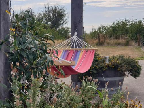 Un jardín fuera de DDOG Vineyard & BnB
