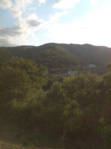 a view of a valley with hills and trees at Pirosmani 66 in Sighnaghi