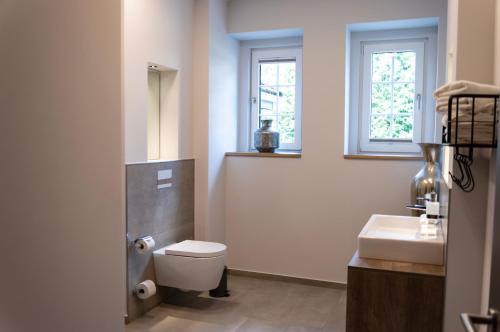 a bathroom with a toilet and a sink at StrandBerg's Ursprung: Spa & Kitchen in Braunlage
