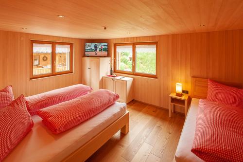 a small room with two beds and a television at Alpin Aparts in Mellau
