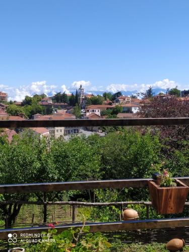 a view of the city from the balcony of a house at GUEST HOUSE DAVID in Sighnaghi