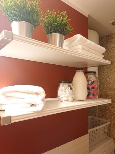 a shelf in a bathroom with plants on it at The Red Flat Vigo - Estudio Boutique - Centro Ciudad in Vigo
