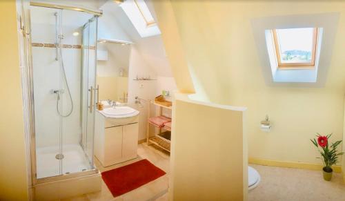 La salle de bains est pourvue d'une douche, de toilettes et d'un lavabo. dans l'établissement Domaine des Ondes, à Millau