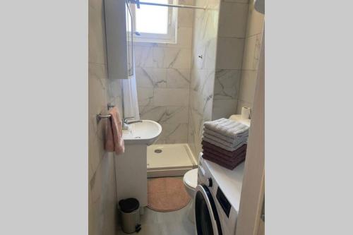 un piccolo bagno con lavandino e servizi igienici di Lexi apartma a Capodistria