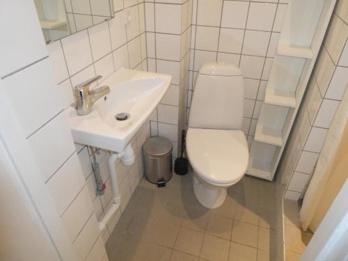 a bathroom with a toilet and a sink at Lillegrund in Copenhagen