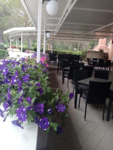 Gallery image of Pansion restoran Marin in Posedarje