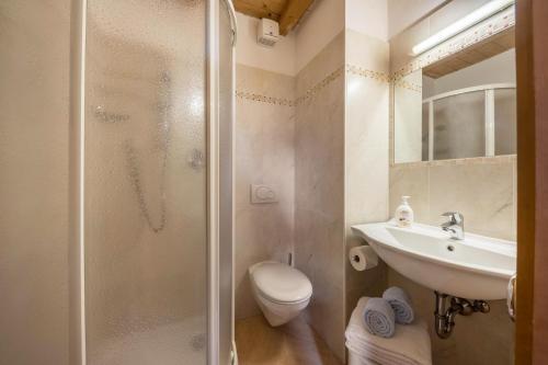 a bathroom with a shower and a sink and a toilet at Ferienwohnung Aster Nusserhof in Avelengo