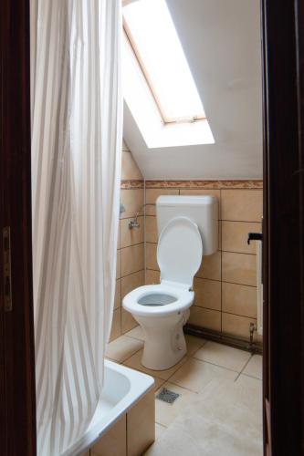 a bathroom with a white toilet and a skylight at Imádó Vendégház in Cernatu de Sus