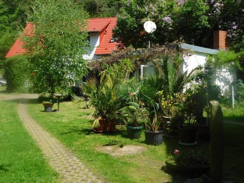 a garden with potted plants in front of a house at Ferienwohnungen Behling am Schufutsberg in Liepe