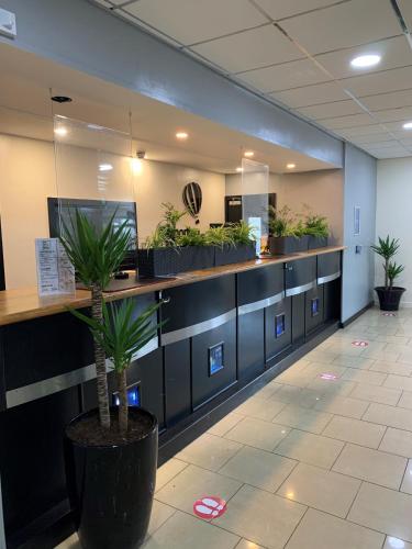 an office cubicle with potted plants on a counter at Sporting Lodge Inn Middlesbrough in Middlesbrough