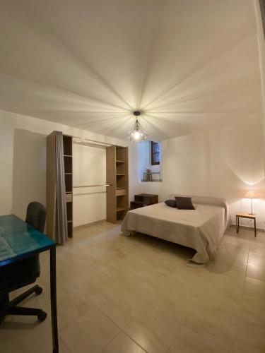 une chambre avec un lit et un bureau dans une pièce dans l'établissement Appartement de charme vieille ville, à Corte