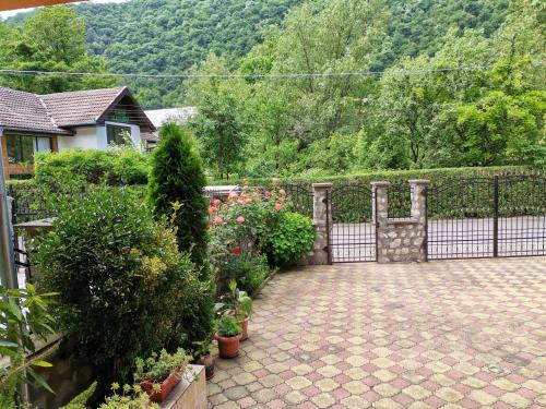 a garden with a fence and some plants and flowers at VILA ANA in Băile Herculane