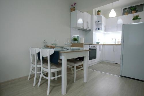 Kuchyň nebo kuchyňský kout v ubytování Landmark Apartment