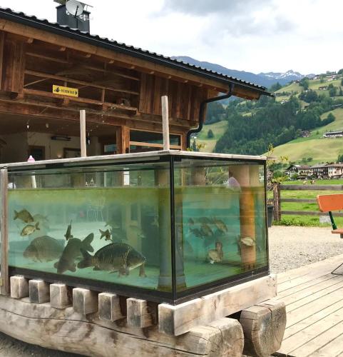 a large aquarium with fish in it in front of a building at Mountain Penthouse Top 8 & 9 in Fügen