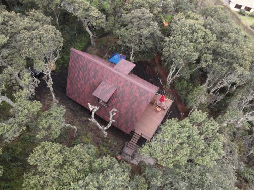 an aerial view of a house in the forest at Mirador Bosque Gran Torino Neusa in Cogua
