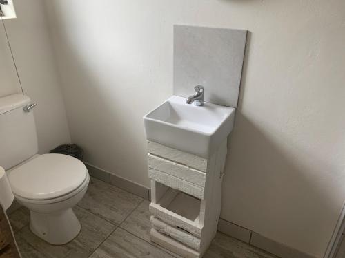 La salle de bains est pourvue d'un lavabo blanc et de toilettes. dans l'établissement Cycad Stay, à Mthatha