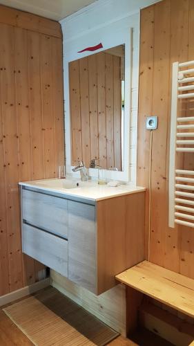 a bathroom with a sink and a mirror at Lina et Anaë in Saint-Nabor