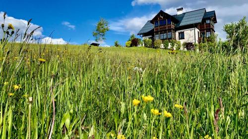 a house on a hill with a field of flowers at Bergvilla Oberon - Your Austrian Home in Bad Aussee