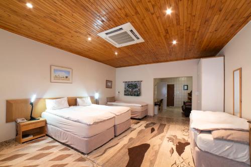 1 dormitorio con 2 camas y techo de madera en Hotel Pension Palmquell en Klein Windhoek
