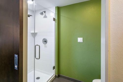uma casa de banho com um chuveiro e uma parede verde em Sleep Inn Allentown-Fogelsville em Allentown