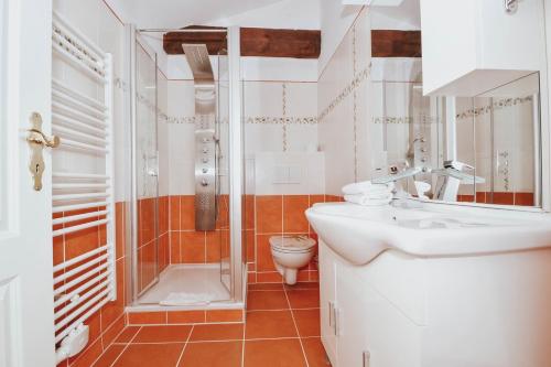 ein Bad mit einer Dusche, einem Waschbecken und einem WC in der Unterkunft Haus Mertin Whg 4 Seepferdchen in Heringsdorf
