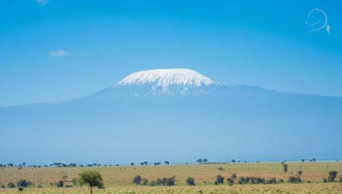 a mountain in the middle of a field at Amanya 1-Bed Leopard Tent in Amboseli