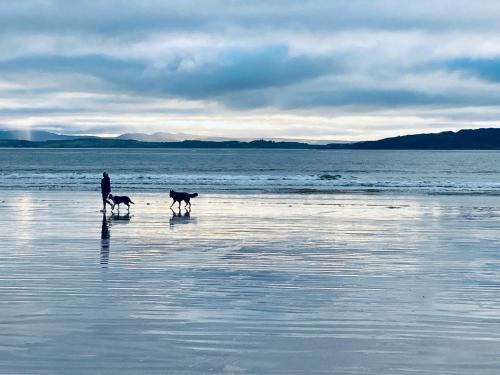 a man and two dogs walking on the beach at Malin TownHouse in Malin