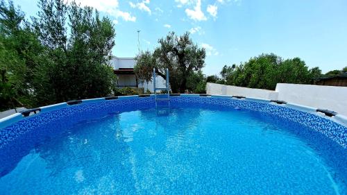 a large blue swimming pool in a yard at Villa Mele in Lido Marini