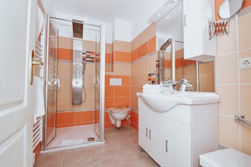 ヘリングスドルフにあるHaus Mertin Whg 5 Seebärのバスルーム(シャワー、洗面台、トイレ付)
