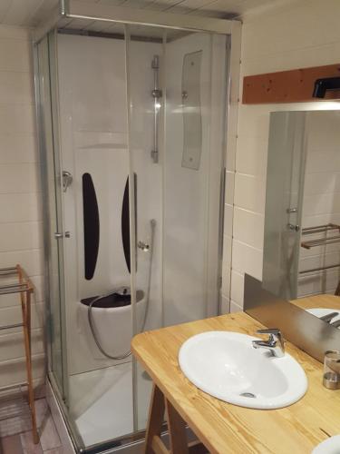 La salle de bains est pourvue d'un lavabo, d'une douche et de toilettes. dans l'établissement Le Laguennois T3 de 45m2 A proximité de TULLE, à Laguenne