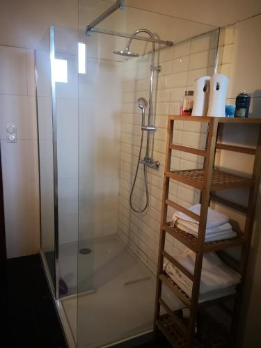 a bathroom with a shower with a glass shower stall at Luxury Apartman in Baja
