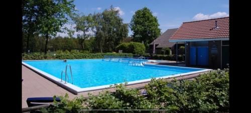 Swimmingpoolen hos eller tæt på 2 -3 persoons chalet in bosrijk park Kempenbos-Duc de Brabant