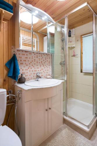 a bathroom with a sink and a shower at Andrzejówka in Kocoń