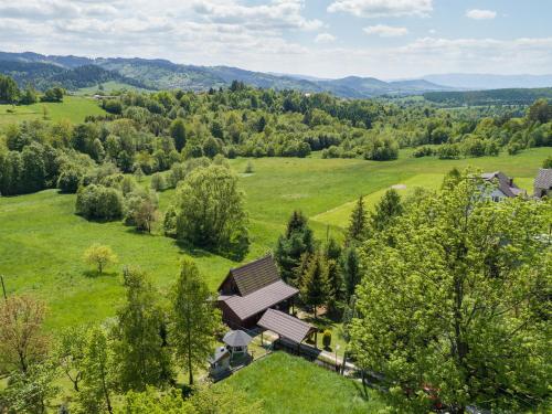 an aerial view of a house in a field with trees at Andrzejówka in Kocoń