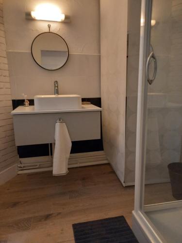 La salle de bains est pourvue d'un lavabo et d'une douche. dans l'établissement Charmant studio dans le Vieux Tours, à Tours