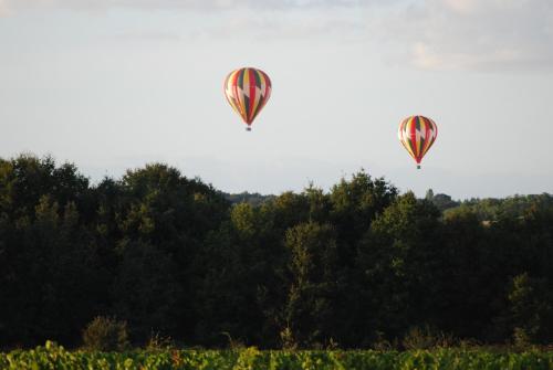 two hot air balloons are flying over a field at Côte du Jardin in Pouillé