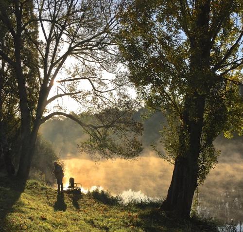 a person sitting on a bench next to a lake at Côte du Jardin in Pouillé