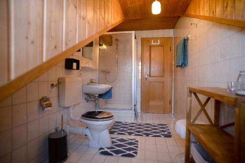 a bathroom with a toilet and a sink at Ferienhaus Evi in Bischofsmais