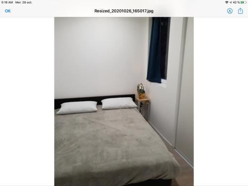 une chambre avec un lit dans une pièce dans l'établissement Appartement Plein centre, à Narbonne