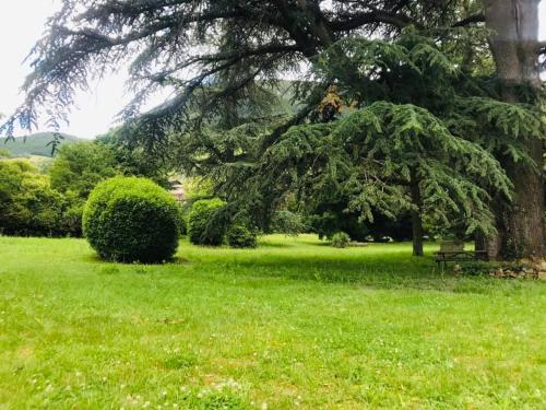 Φυσικό τοπίο κοντά σε αυτός ο ξενώνας
