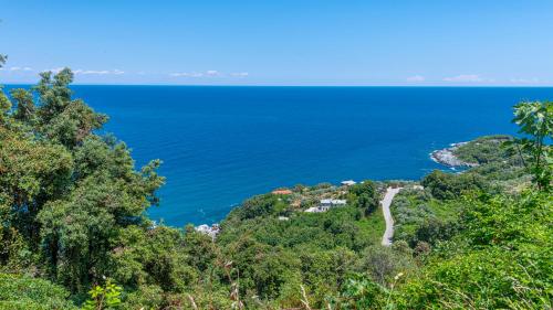 a view of the ocean from a hill at Katerina Fotopoulos Rooms & Apartments - Papanero com in Agios Ioannis Pelio