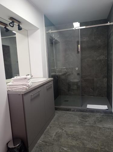 a bathroom with a shower with a glass door at Citadel Residence in Sighişoara