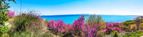 Φυσικό τοπίο κοντά σε αυτό το διαμέρισμα