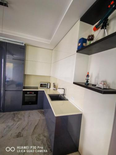 Η κουζίνα ή μικρή κουζίνα στο Luxury Apartments Alix