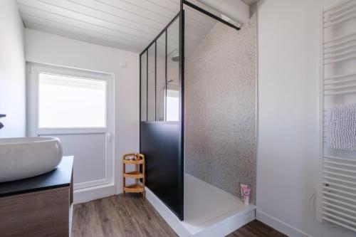 een badkamer met een douche en een wastafel bij Gîte La Parenthèse 14 personnes in Loisy-sur-Marne